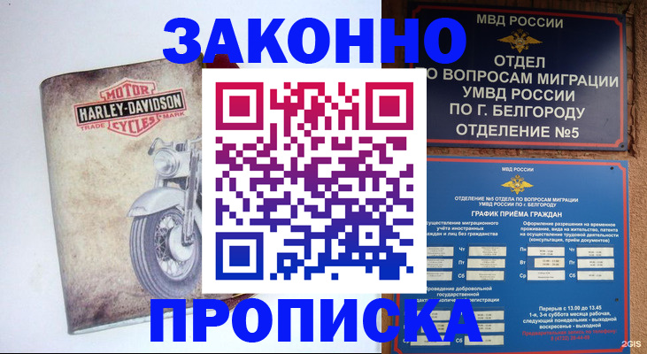 прописка для школы в Коркино